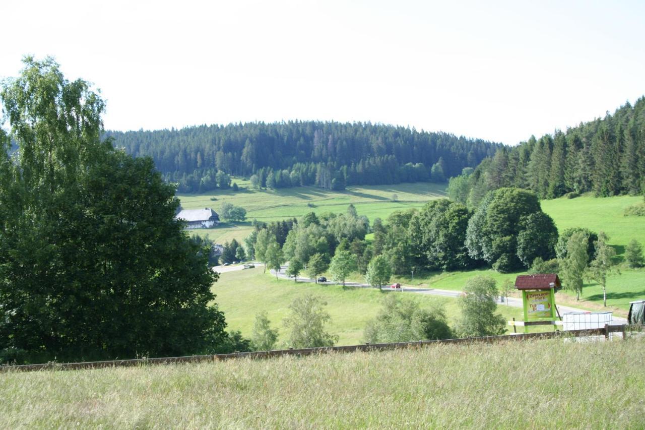 Black-Forest Holiday - Ferienresort Am Schluchsee Exterior foto