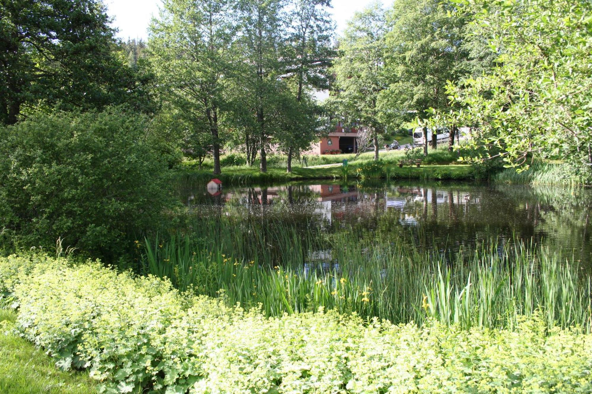 Black-Forest Holiday - Ferienresort Am Schluchsee Exterior foto